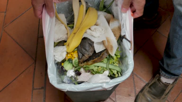 Reliable Brier, WA Junk Removal Services Solutions